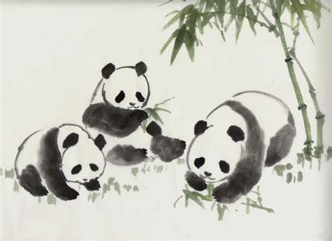 Pin by Sue Murgatroyd on Pandas | Panda art, Chinese drawings, Panda painting