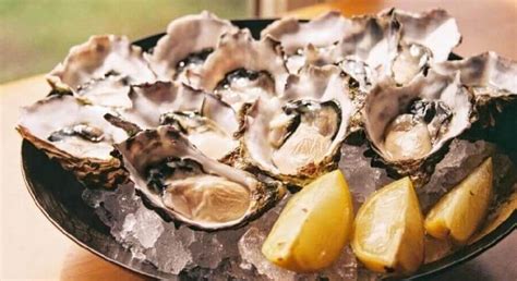 What are the benefits of oysters - TheDietMD