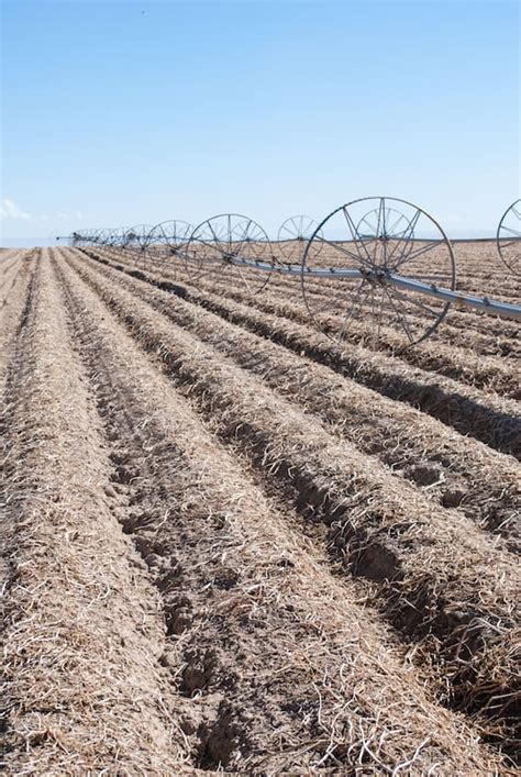 Scenes from the 2015 Idaho Potato Harvest - Foxes Love Lemons