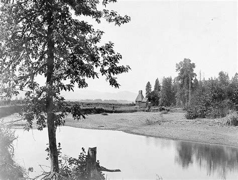 Hops Scene, South Yamhill River