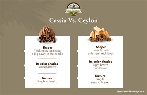 Cassia vs. Ceylon Cinnamon - What’s the Difference? - EF&B