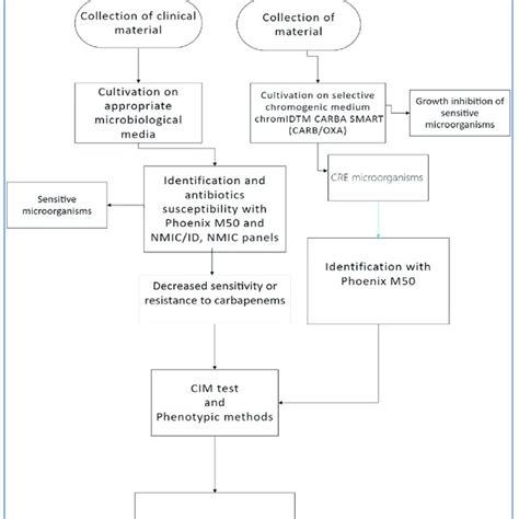 Diagram of CRE diagnostic procedure (CRE -carbapenem-resistant ...