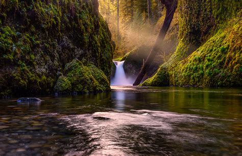 Images Cliff Nature Waterfalls forest Moss river