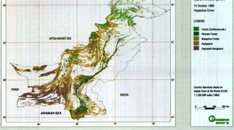 9 Forest Types of Pakistan (From Littoral and Swamp Forests to Alpine ...