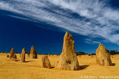 Australian Landscape Desert