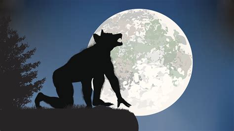 Full Moon Werewolf Transformation