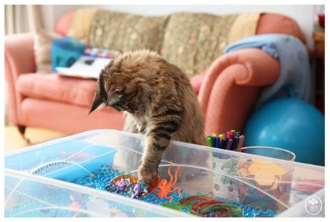 Six-year-old autistic girl creates beautiful paintings with her therapy cat