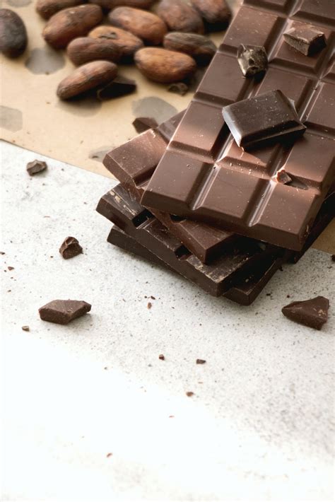 Chocolate Toxicity Calculator — Progressive Vet Care