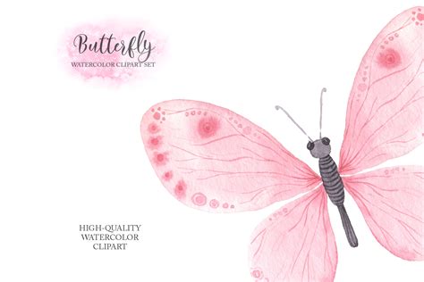 Watercolor Pink Butterfly Set By Larysa Zabrotskaya | TheHungryJPEG