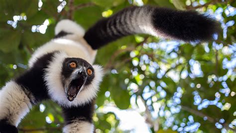 The Comedy Wildlife Photography Awards Are Back For 2023 And Better Than Ever | IFLScience