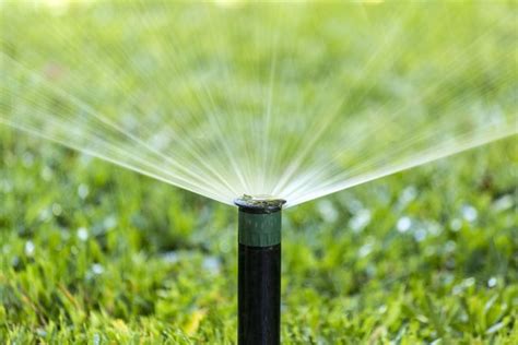 Irrigation 101 - Watering Your Garden | Garden Design