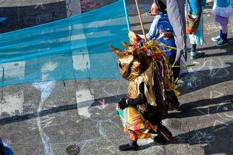 Procession of the Species IV | Seattle Now & Then