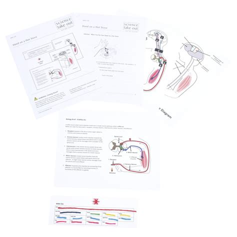 Cell Biology Lab Experiments | Science Take-Out | Hands-On Learning Kits