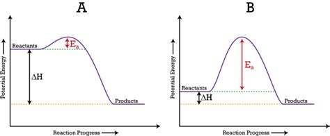 Potential Energy Diagrams | CK-12 Foundation