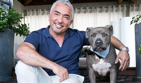 Dog Whisperer Cesar Milan hit by investigation into shock ANIMAL CRUELTY footage | World | News ...