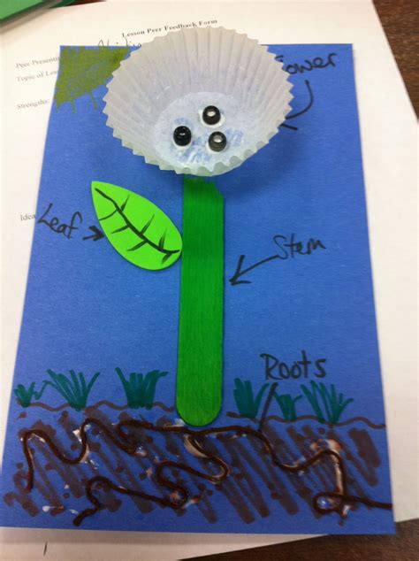 Pin on Botany | Kindergarten crafts, Parts of a plant, Plant lessons