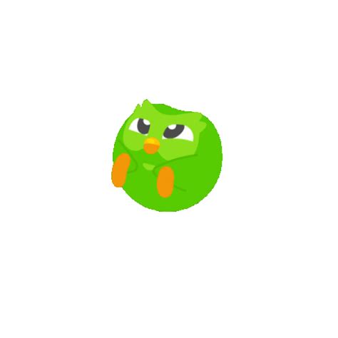 Duolingo Owl Sticker - Duolingo Owl Roll - Discover & Share GIFs