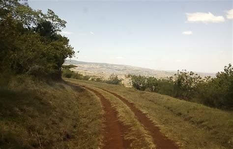 Kakamega, Kenya 2024: Best Places to Visit - Tripadvisor