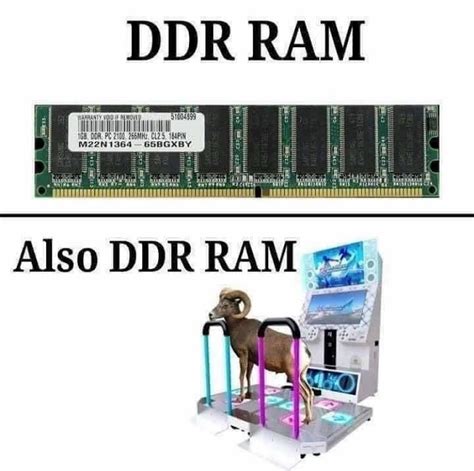 The best Ram memes :) Memedroid