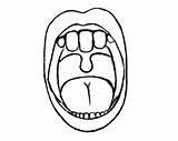 Lips Coloring Page Mouth With Teeth The  sketch template