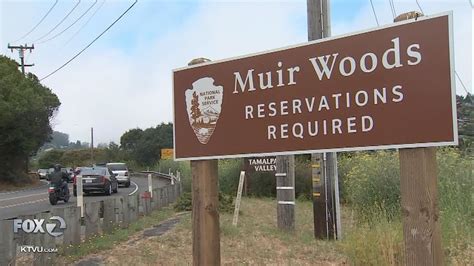 Muir Woods parking causes a drop in visitors