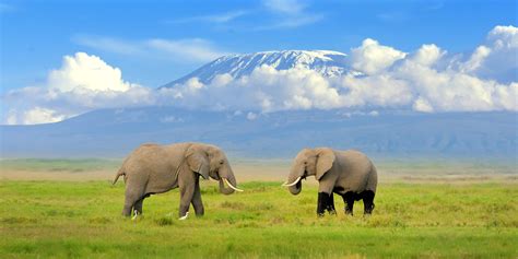 Best Time To Visit Kenya: Advice From the Safari Experts - Southern Destinations