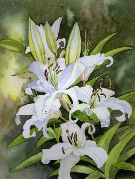 White Lilies - watercolour painting by Julie Horner - SOLD | Lily ...