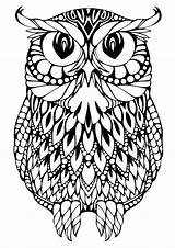 OWL Coloring Pages For Adults Free Detailed Owl sketch template