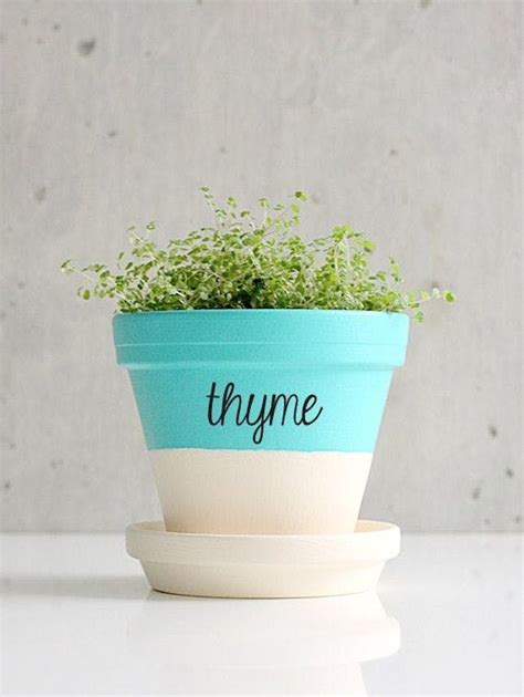 10 Tiny Herb Garden Ideas That Will Fit in Any Apartment | Herb labels, Herb pots, Painted plant ...