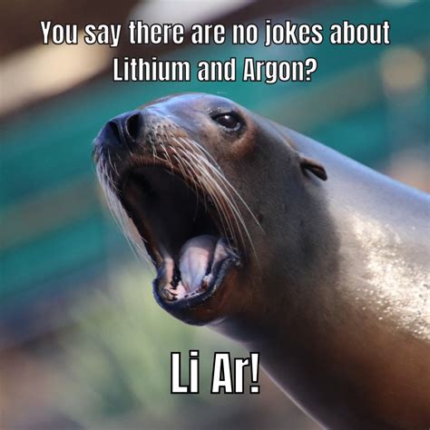 Sea Lion Meme