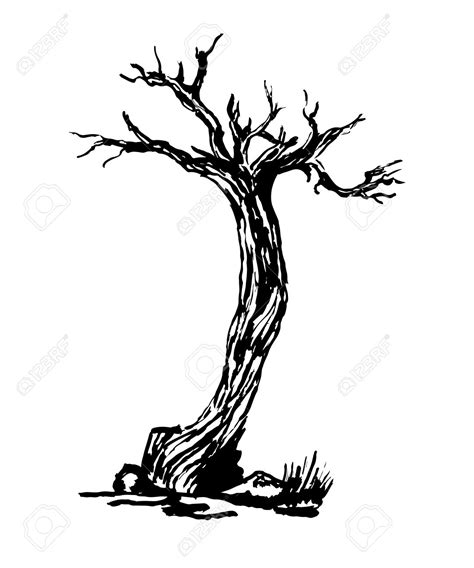 Gnarled Tree Drawing at GetDrawings | Free download