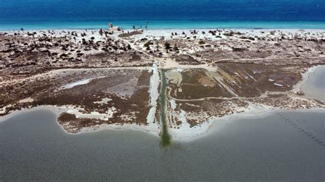 Libya's wildlife treasure island at risk of ruin - France 24