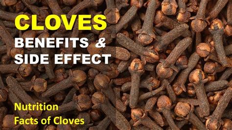 Cloves Benefits and Side effects, Nutrition Facts of Cloves - YouTube