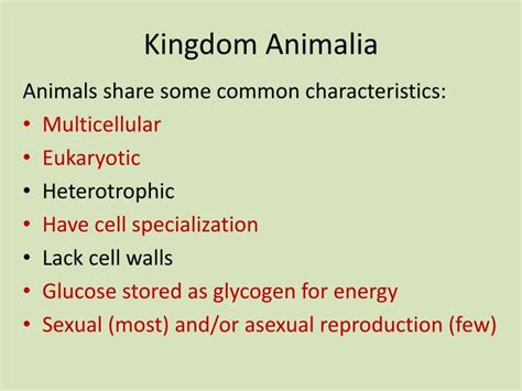 PPT - Kingdom Animalia The Invertebrates (95%) PowerPoint Presentation ...