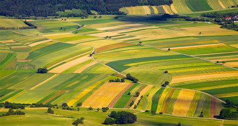 Nexit Would Harm the Dutch Agriculture and Horticulture Industry