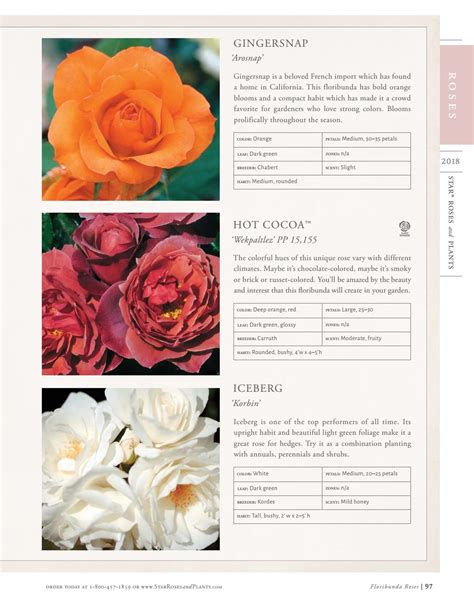 2018 Star® Roses and Plants Catalog by Star® Roses and Plants - Issuu