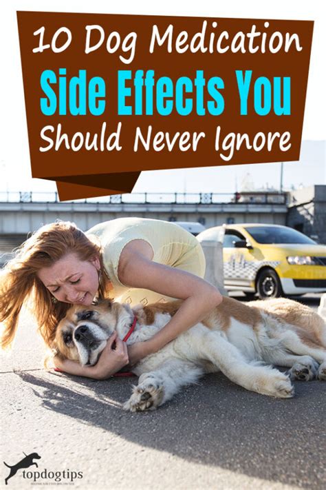 10 Dog Medication Side Effects You Should Never Ignore