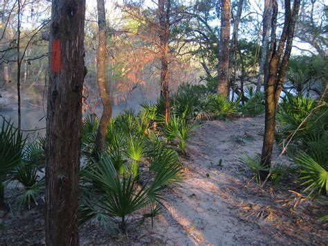 Hiking Florida | Florida Hikes!