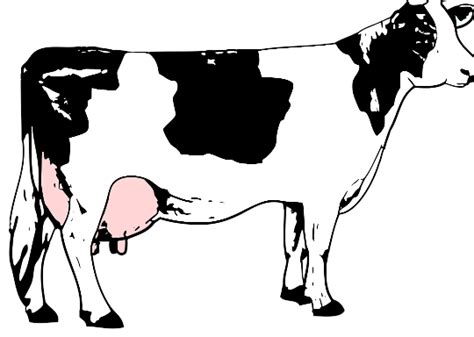 Download #000080 Male Calf Line Art Vector Image SVG | FreePNGImg