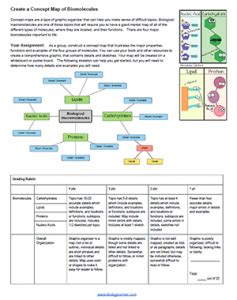 Student Created Concept Map of Biomolecules