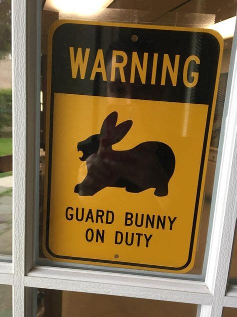 19 Best Rabbit signs images | Instagram posts, Bunny drawing, Crazy bunny lady