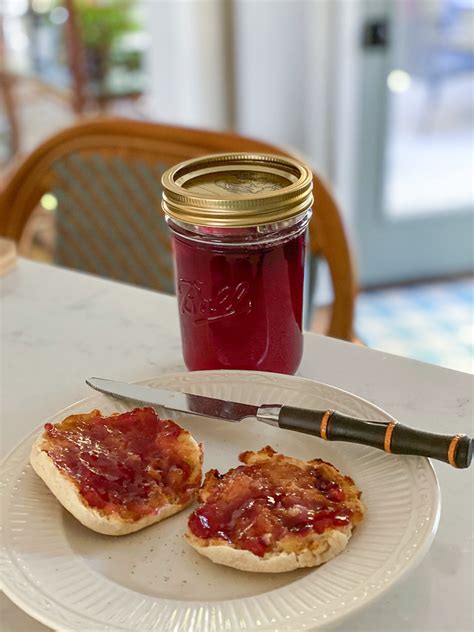 Muscadine Jelly Recipe Using Sure Jell | Dandk Organizer