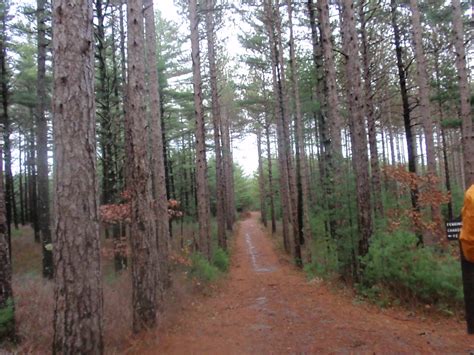 A Fall bike ride through New England's Myles Standish State Forest - Top Ten Travel Blog