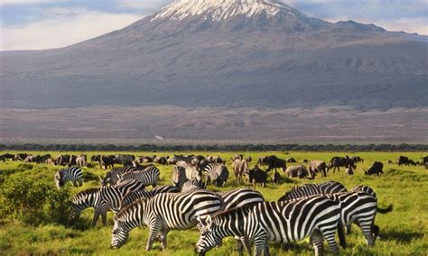 5 Days Amboseli & Tsavo Wildlife Safari | Kenya Wildlife Safari