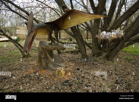 Pterodactyl near the nest with eggs in Dinosaur Park, Moscow, Russia ...