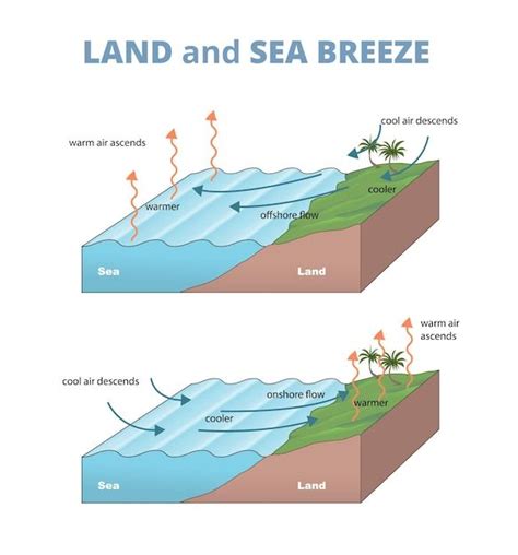 Land and Sea Breeze Diagram