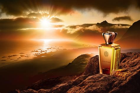 Gold Sunset on Behance