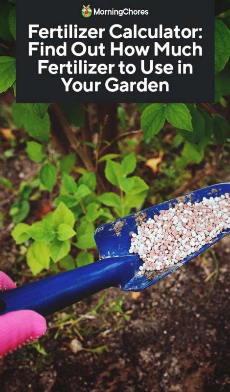 Fertilizer Calculator: Find Out How Much Fertilizer To Use In Your Garden - Homesteading Alliance