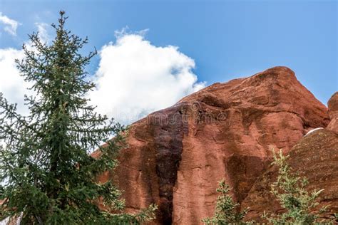 Red Rock Campground Pike National Forest Colorado Springs Woodl Stock ...