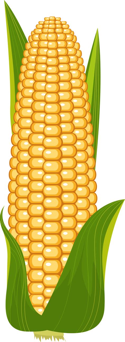 Corn Clipart